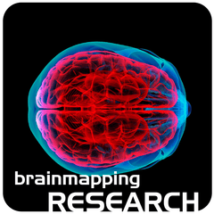 transluscent brain labelled: brain mapping research